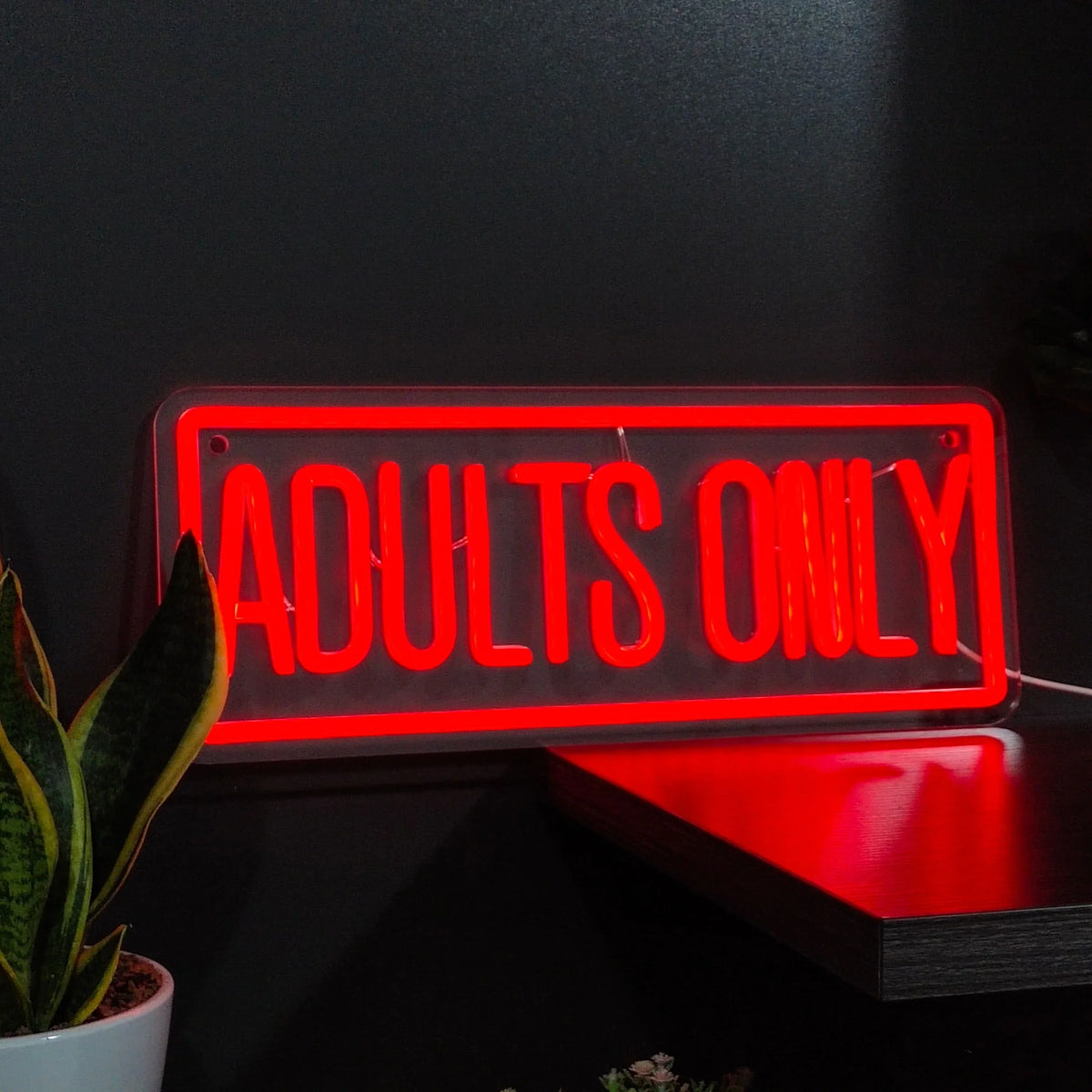 Adults Only LED Neon Sign - Red